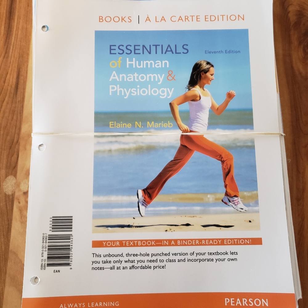 Essentials of Human Anatomy and physiology